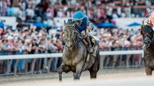 Buy or Sell on the Road to Breeders’ Cup: Evaluating Sovereignty’s Whitney Stakes Win